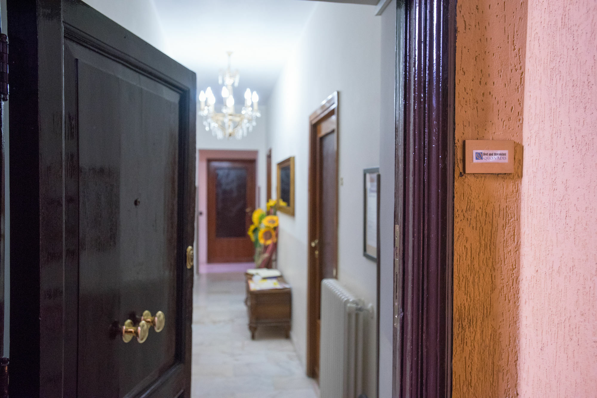 Hotel Quo Vadis à Rome Extérieur photo